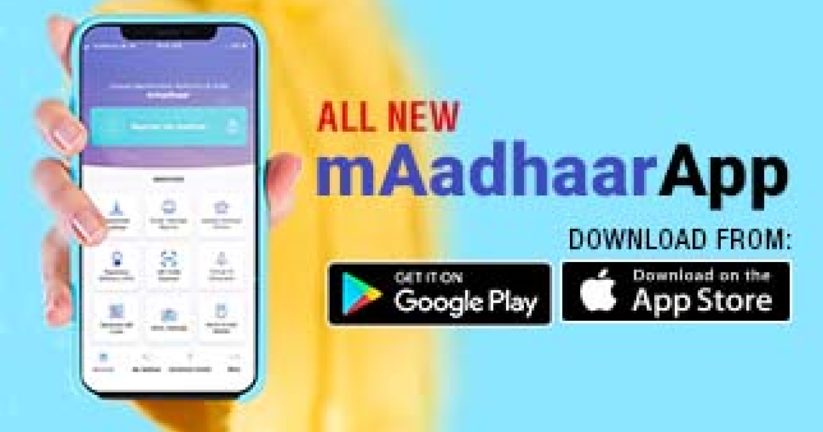 AadharAce Power Your Progress With New Aadhar Card Status Check In   Aadhar Card Status Img 2 1 